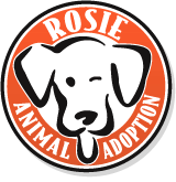 Rosie Animal Adoption